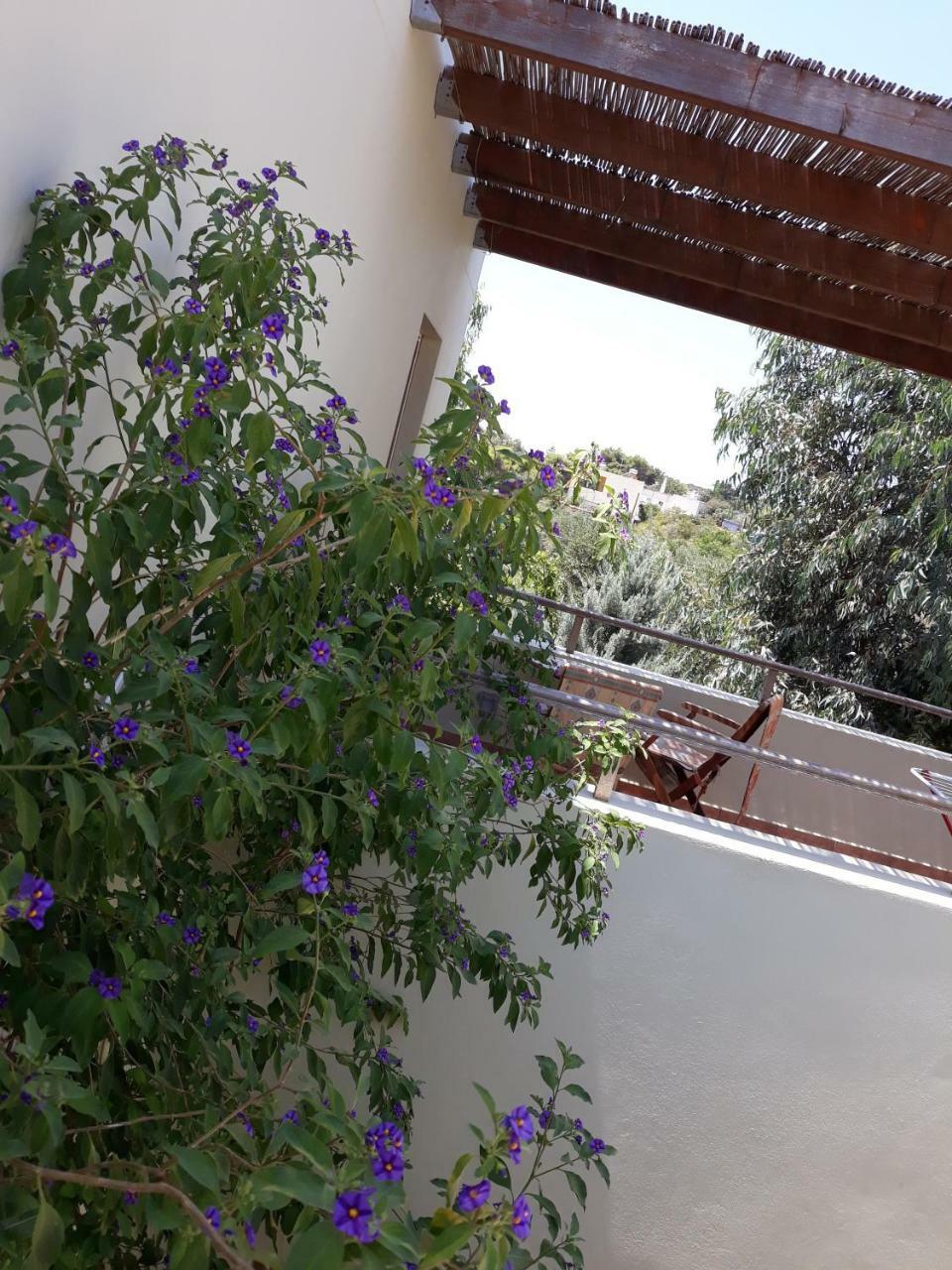 Vilana Studios Kalamos  Екстериор снимка